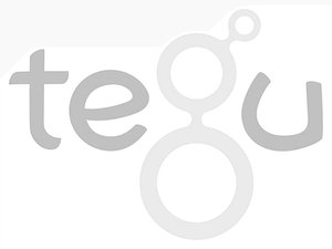 Logo-tegu-1024x768-4244651520